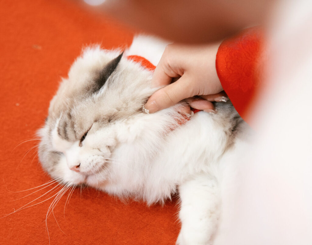 文書編集テスト